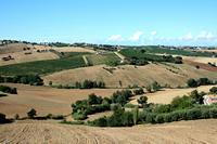 colline jesi